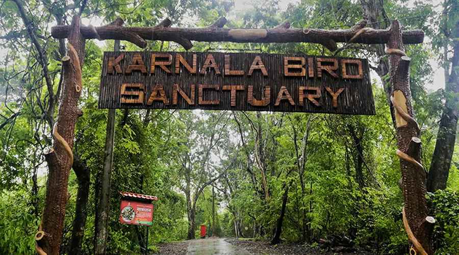 Camping In Karnala Bird Sanctuary